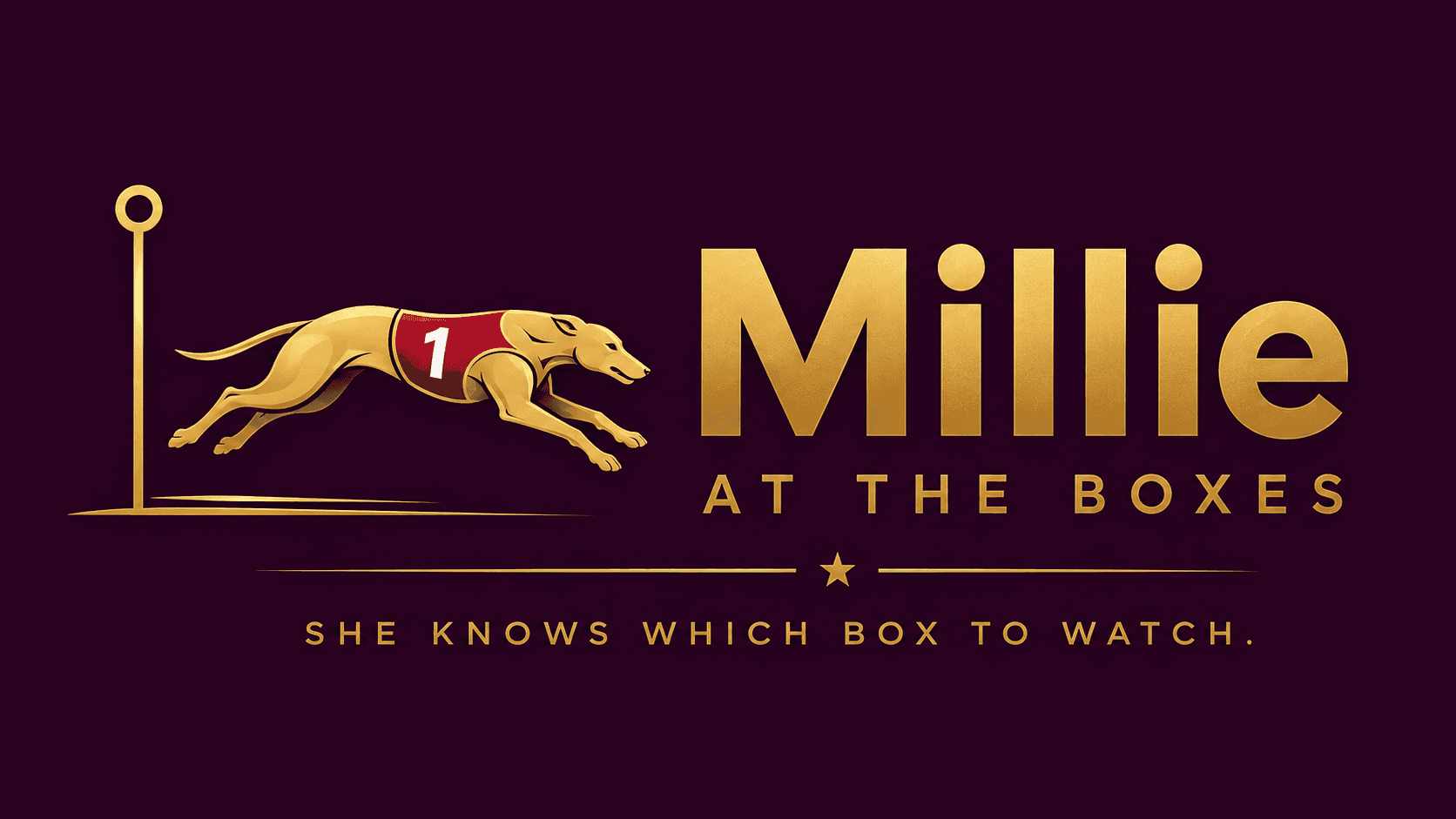 Millie at the Boxes